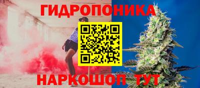 кокс Кунгур