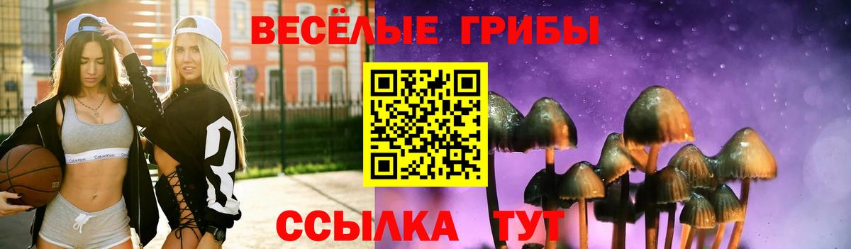 Псилоцибиновые грибы прущие грибы Добрянка